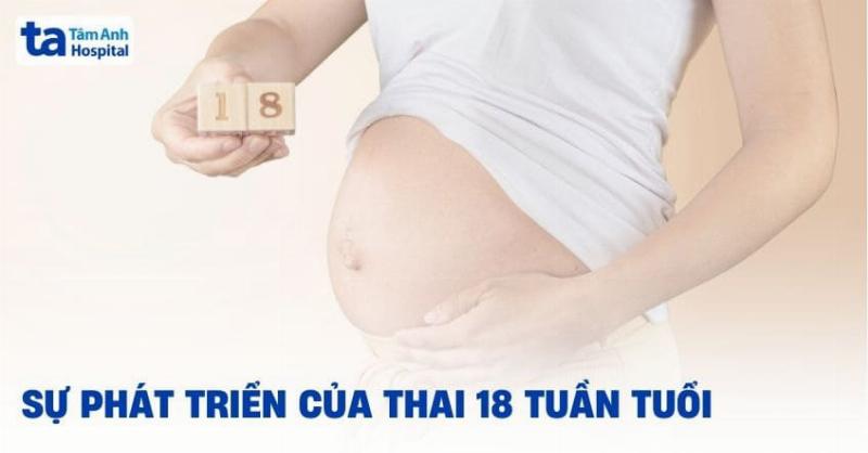 Hinh anh thai nhi 18 tuan phat trien, be buoc vao giai doan quan trong cua thai ky